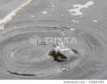 自然雨滴冠 自然雨滴冠 139881982