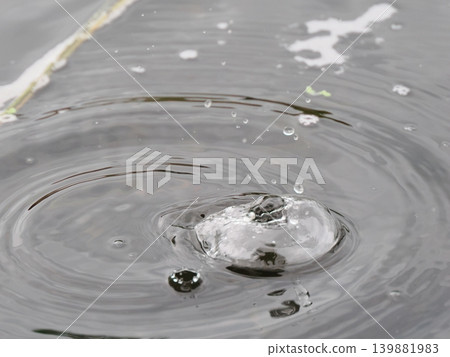 自然雨滴冠 自然雨滴冠 139881983