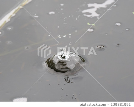 Natural raindrop crown Natural raindrop crown 139881991