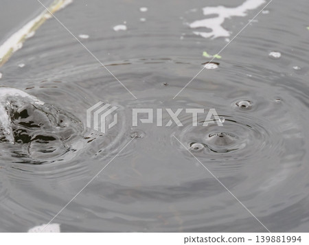 Natural raindrop crown Natural raindrop crown 139881994