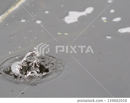 Natural raindrop crown Natural raindrop crown 139882038