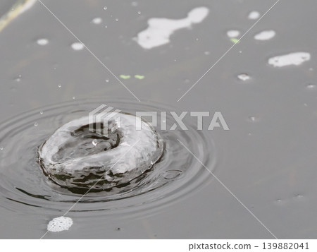 自然雨滴冠 139882041