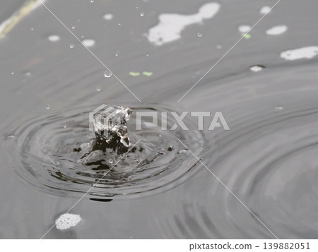 Natural raindrop crown Natural raindrop crown 139882051