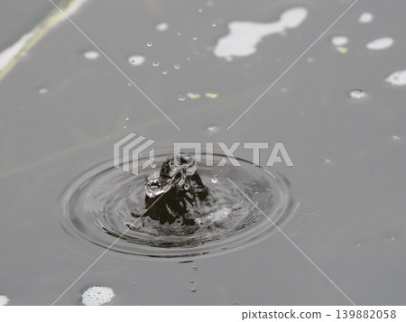 自然雨滴冠 139882058