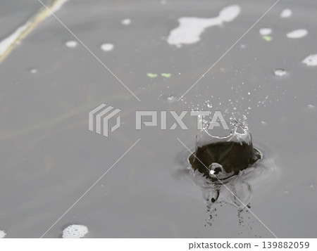 自然雨滴冠 自然雨滴冠 139882059