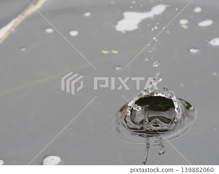 自然雨滴冠 自然雨滴冠 139882060