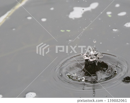 自然雨滴冠 139882061