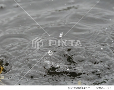 自然雨滴冠 自然雨滴冠 139882072