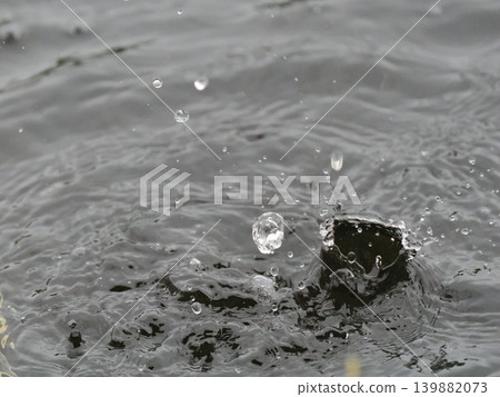 自然雨滴冠 自然雨滴冠 139882073