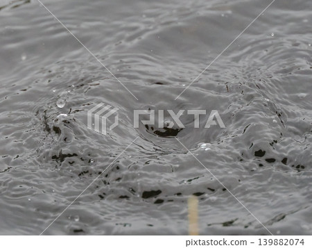 自然雨滴冠 自然雨滴冠 139882074