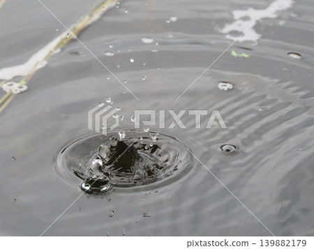 Ripples on the water's surface from raindrops Ripples on the water's surface from raindrops 139882179