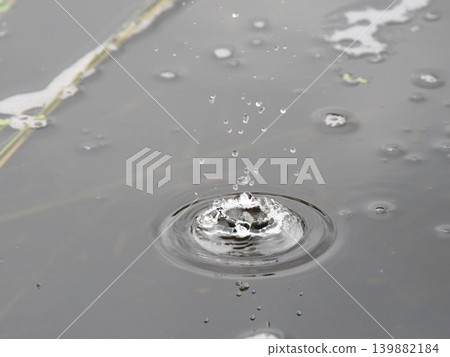 Ripples on the water's surface from raindrops 139882184