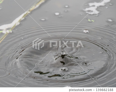 Ripples on the water's surface from raindrops Ripples on the water's surface from raindrops 139882188