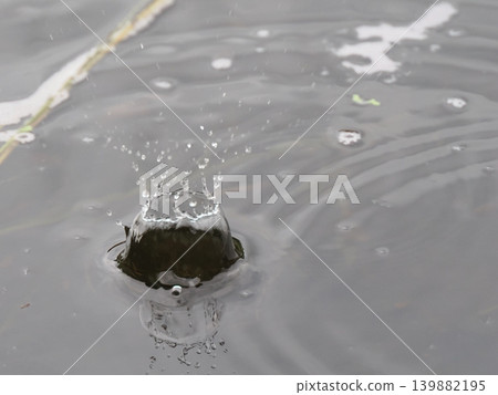Ripples on the water's surface from raindrops Ripples on the water's surface from raindrops 139882195