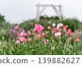 Poppy Hill II 139882627