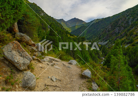 Dirt hiking trail in lush green mountain valley with evergreen trees in Kyrgyzstan Dirt hiking trail in lush green mountain valley with evergreen trees in Kyrgyzstan 139882786