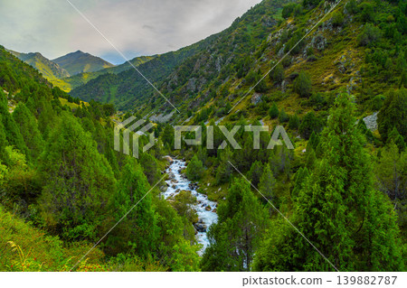 Lush Green Mountain Valley with Rushing River and Evergreen Forest in Kyrgyzstan Lush Green Mountain Valley with Rushing River and Evergreen Forest in Kyrgyzstan 139882787