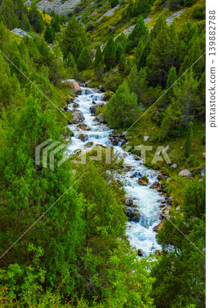 Wild Mountain Stream Cascading Through Evergreen Forest in Kyrgyzstan Wild Mountain Stream Cascading Through Evergreen Forest in Kyrgyzstan 139882788