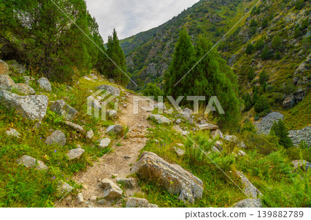 Winding Mountain Trail Through Evergreen Forest and Rocky Slopes in Kyrgyzstan Winding Mountain Trail Through Evergreen Forest and Rocky Slopes in Kyrgyzstan 139882789