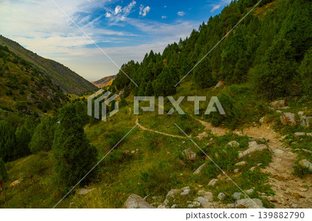 Scenic Mountain Valley with Evergreen Forest and Hiking Trail in Kyrgyzstan Scenic Mountain Valley with Evergreen Forest and Hiking Trail in Kyrgyzstan 139882790