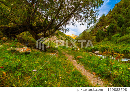 Winding Mountain Path Through Lush Valley with Overhanging Tree in Kyrgyzstan Winding Mountain Path Through Lush Valley with Overhanging Tree in Kyrgyzstan 139882798