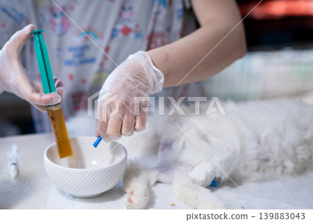 Vet prepares medicine. Calm veterinary staff administers medication to relaxed feline patient 139883043