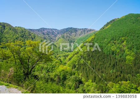 Vibrant, fresh green mountainside (Takayama City, Gifu Prefecture) Vibrant, fresh green mountainside (Takayama City, Gifu Prefecture) 139883058