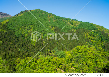Vibrant, fresh green mountainside (Takayama City, Gifu Prefecture) Vibrant, fresh green mountainside (Takayama City, Gifu Prefecture) 139883060