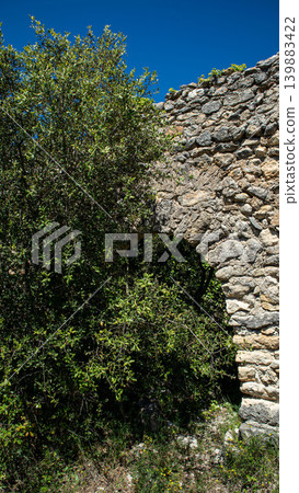 The shot shows a stone archway covered with wild trees and ivy in a deserted historical Spanish settlement under clear blue skies. Nature has taken over the structure. 139883422