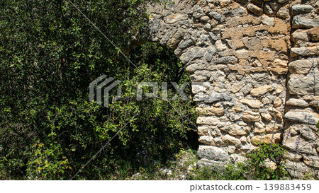 An arched doorway made of stone blocks stands hidden in green bushes. This doorway is part of the historical ruins located in Atzuvieta village. Time has changed the area around it. An arched doorway made of stone blocks stands hidden in green bushes. This doorway is part of the historical ruins located in Atzuvieta village. Time has changed the area around it. 139883459
