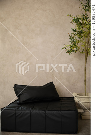Black leather sofa with pillow and olive tree against beige textured wall Black leather sofa with pillow and olive tree against beige textured wall 139883471