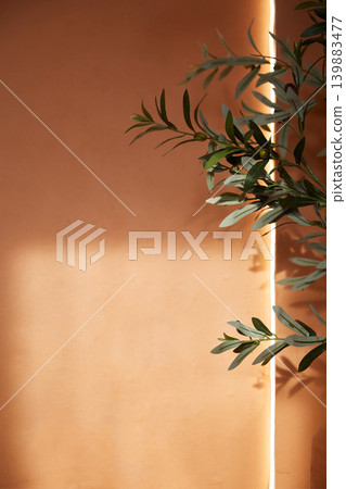 Close-up of green olive tree branches against warm terracotta wall with vertical LED light Close-up of green olive tree branches against warm terracotta wall with vertical LED light 139883477