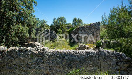 The scene shows the remains of stone walls and empty houses in the Moorish village Atzuvieta. Green plants grow around, showing nature reclaiming the area under the sun. The scene shows the remains of stone walls and empty houses in the Moorish village Atzuvieta. Green plants grow around, showing nature reclaiming the area under the sun. 139883517