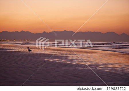 Sunset, ocean and beach for landscape with nature, orange sky and mountain for travel and tourism. Water, Earth and adventure with natural background, waves and environment with scenic view of island Sunset, ocean and beach for landscape with nature, orange sky and mountain for travel and tourism. Water, Earth and adventure with natural background, waves and environment with scenic view of island 139883712