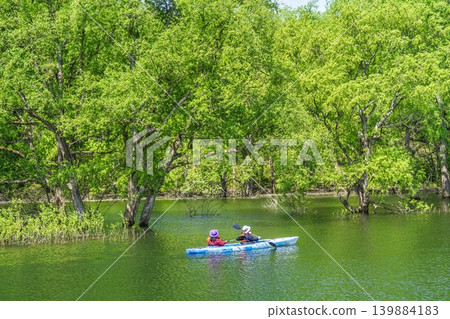 白川湖綠樹成蔭,水下森林密布;湖面上泛舟;山形縣飯出町 白川湖綠樹成蔭,水下森林密布;湖面上泛舟;山形縣飯出町 139884183