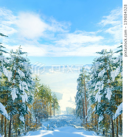 Forest, snow and landscape in mountains in winter for ski vacation in Canada for explore, holiday or journey. Woods, trees and freezing ice with fog in cold weather or climate, scenery or environment Forest, snow and landscape in mountains in winter for ski vacation in Canada for explore, holiday or journey. Woods, trees and freezing ice with fog in cold weather or climate, scenery or environment 139884328