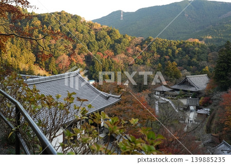 Autumn leaves at Hase-dera Temple, the head temple of the Nara Yamato region, famous for its flowers. 139885235