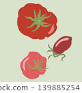 Set of 3 flat vector illustrations of red heirloom tomatoes and cherry tomato on light green background. 139885254