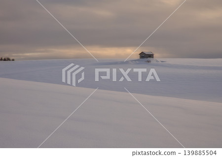A wide, horizontal winter landscape of a vast snowfield bathed in the soft light of twilight, with a small, solitary hut standing alone. 139885504