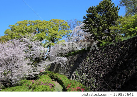 從福岡市舞鶴公園眺望福岡城遺址。 從福岡市舞鶴公園眺望福岡城遺址。 139885641