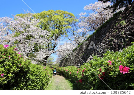 A view of the Fukuoka Castle ruins in Maizuru Park, Fukuoka City. 139885642