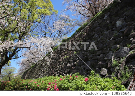 從福岡市舞鶴公園眺望福岡城遺址。 從福岡市舞鶴公園眺望福岡城遺址。 139885643