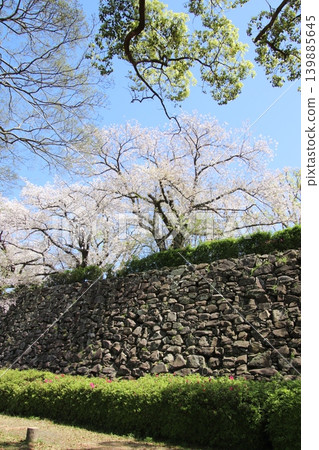 從福岡市舞鶴公園眺望福岡城遺址。 從福岡市舞鶴公園眺望福岡城遺址。 139885645