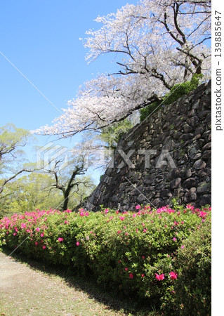 從福岡市舞鶴公園眺望福岡城遺址。 從福岡市舞鶴公園眺望福岡城遺址。 139885647