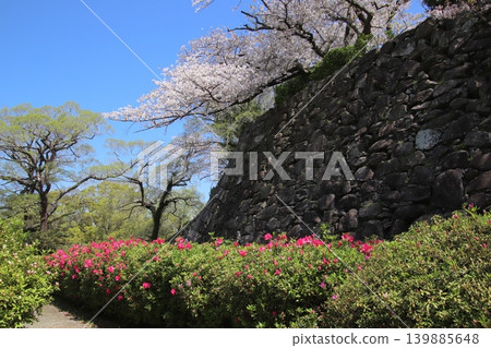 從福岡市舞鶴公園眺望福岡城遺址。 從福岡市舞鶴公園眺望福岡城遺址。 139885648