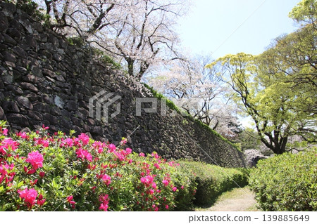 從福岡市舞鶴公園眺望福岡城遺址。 從福岡市舞鶴公園眺望福岡城遺址。 139885649