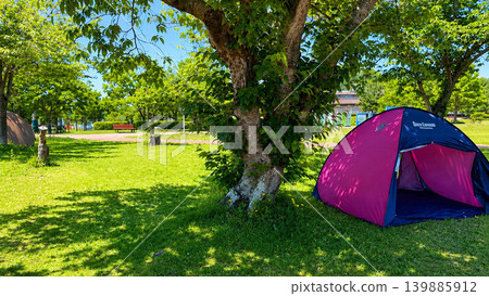 A park scene with sunlight filtering through the trees and a tent. A park scene with sunlight filtering through the trees and a tent. 139885912