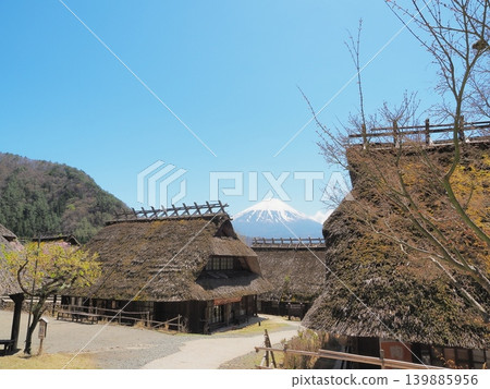 山梨縣：春日碧空，茅草屋環繞的村莊，富士山巍峨聳立。四月。 139885956