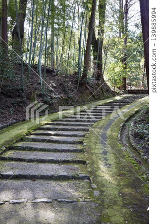 Mossy stone steps Mossy stone steps 139885994