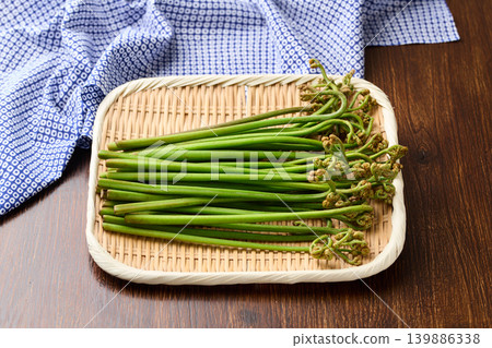 Bracken from Niigata Prefecture Bracken from Niigata Prefecture 139886338